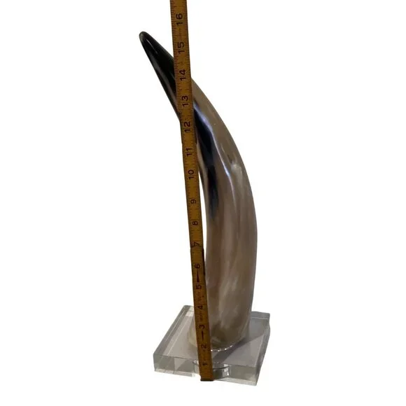 Natural Bull Cow Steer Horn Rustic Western Décor 16 Polished On Glass Base